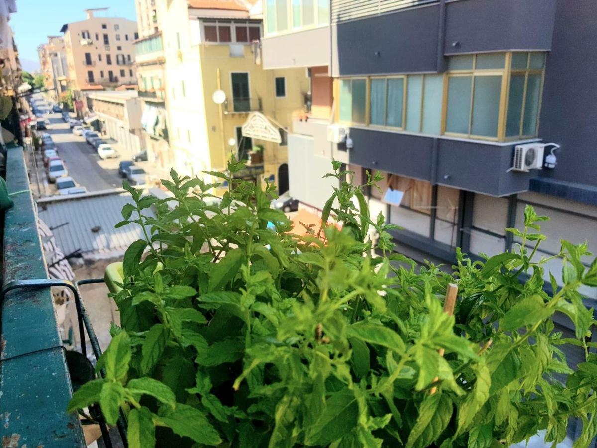 Dolce Casa Centro Storico Di Palermo New 2023 Apartment — Photos 1